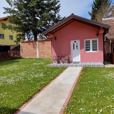 Apartment Aleks 2 Banja Koviljaca