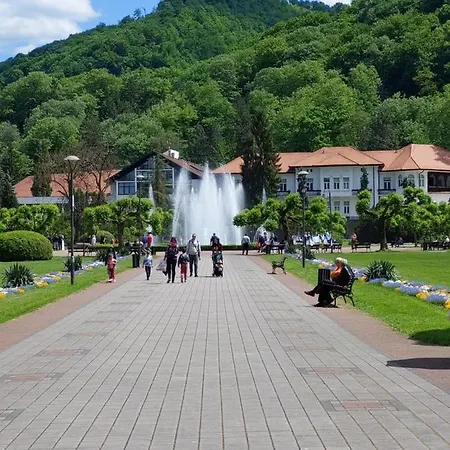 公寓 Aleks 2 Banja Koviljača