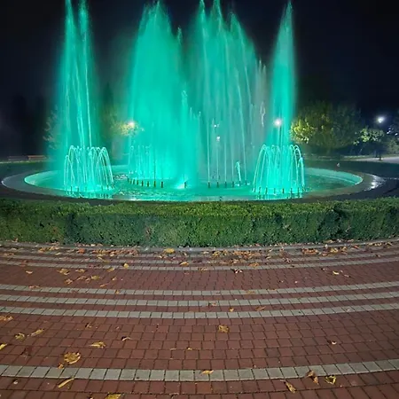 Aleks 2 Banja Koviljača