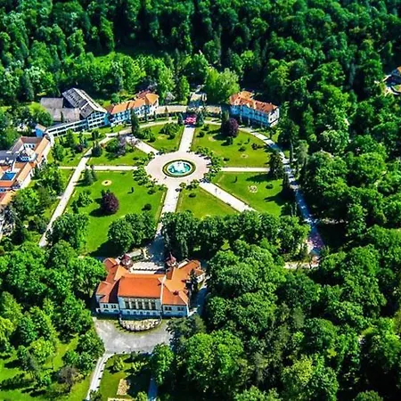 Aleks 2 Banja Koviljača