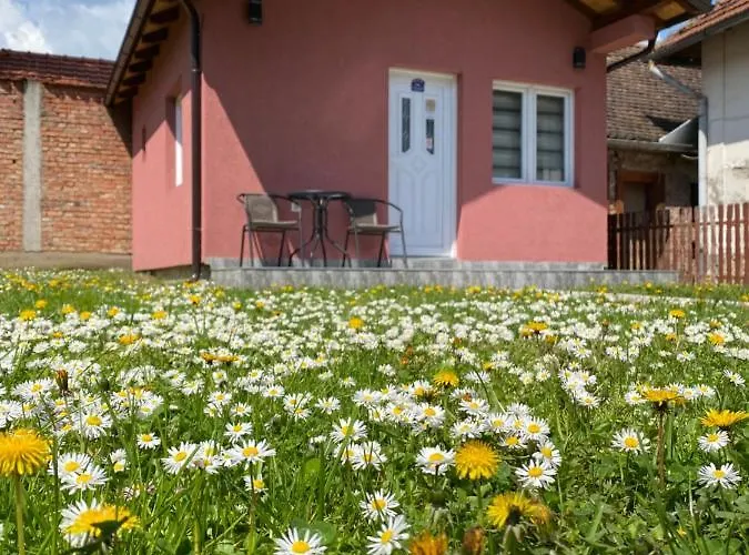 Aleks 2 Апартаменты