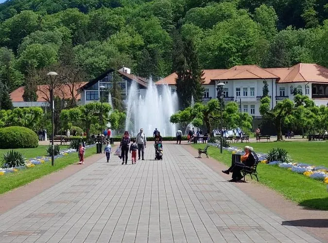 Апартаменты Aleks 2 Баня-Ковиляча